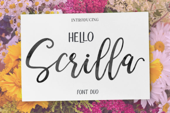 Exploring the Hello Scrilla Script Font: A Modern Duo for Designers